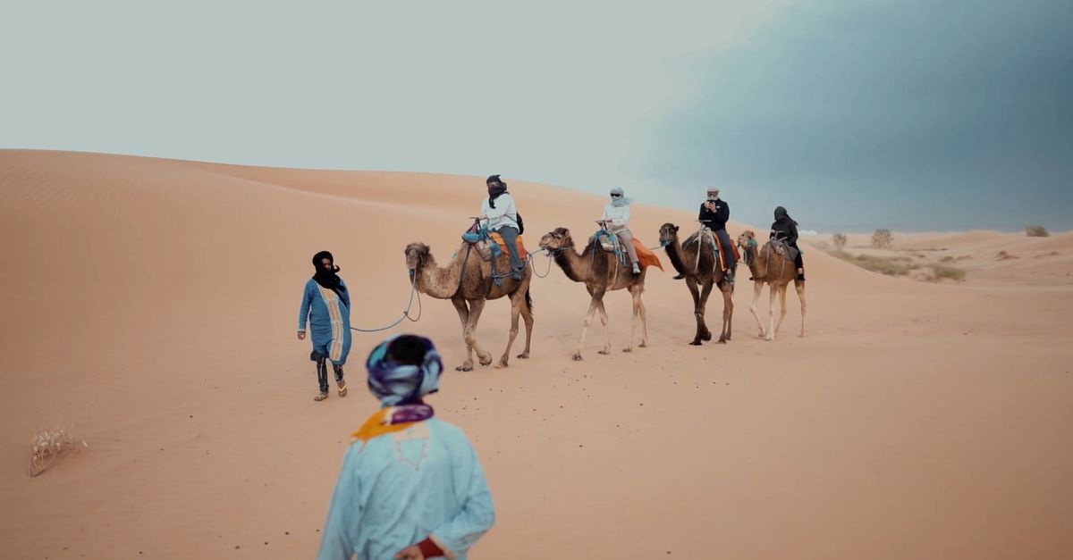 People Riding Camels while on the Desert Free Stock Video Footage ...