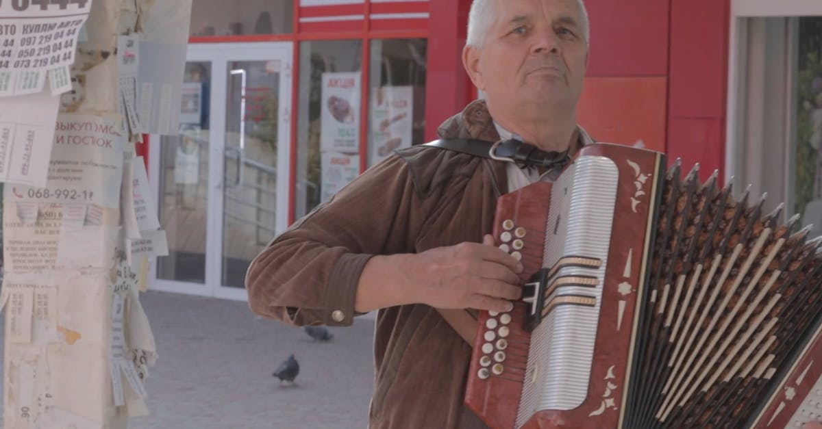 Man Playing a Accordion on the Street Free Stock Video Footage, Royalty ...