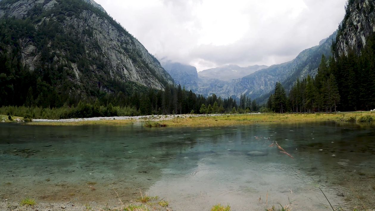 1 000 Best Lakeside Photos 100 Free Download Pexels Stock Photos 1-000-best-lakeside-photos-100-free-download-pexels-stock-photos