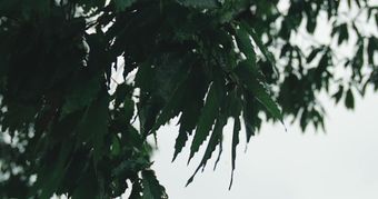 雨景视频素材