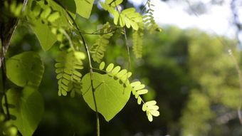 治愈系视频高清视频视频素材视频素材视频素材
