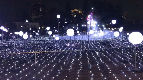 Beautiful Lights Display