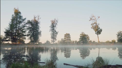 Video of a Misty Lake in the Morning