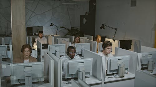 Customer Service Staff Working from Their Cubicles