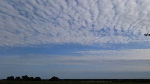 Cirrus Clouds Formation Beneath The Blue Sky