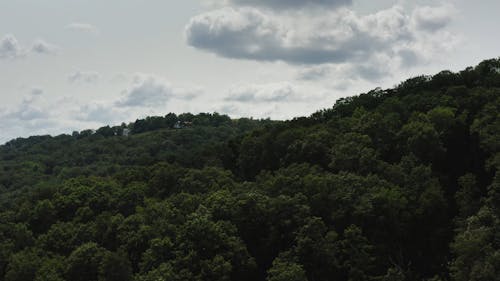 Aerial View of Dense Mountain Forest and Cloudy Sky