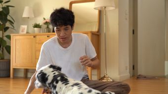 宠物视频素材视频素材高清视频视频素材视频素材