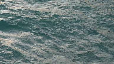 close up video of water ripples