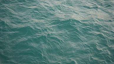 video of water ripples