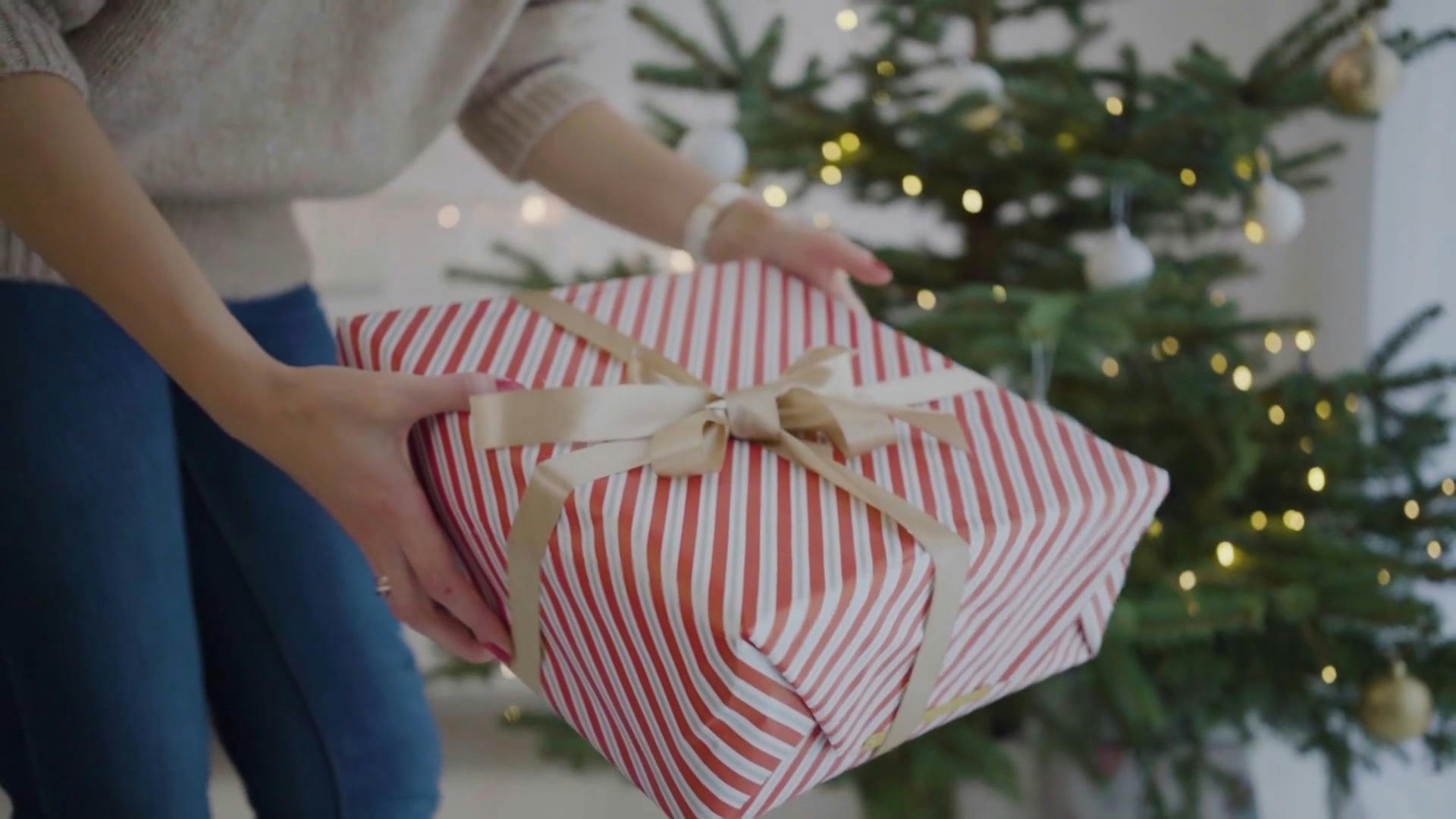 A Woman Putting Gift Under the Christmas Tree · Free Stock Video