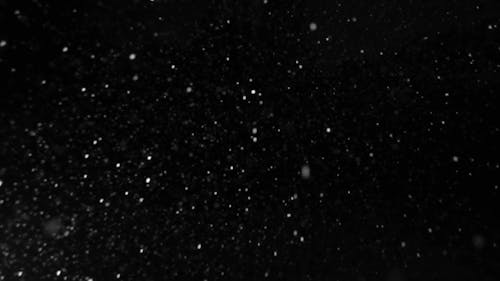 Snowfall in Black Background