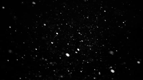 Snowfall in Black Background Free Stock Video Footage, Royalty-Free 4K & HD  Video Clip