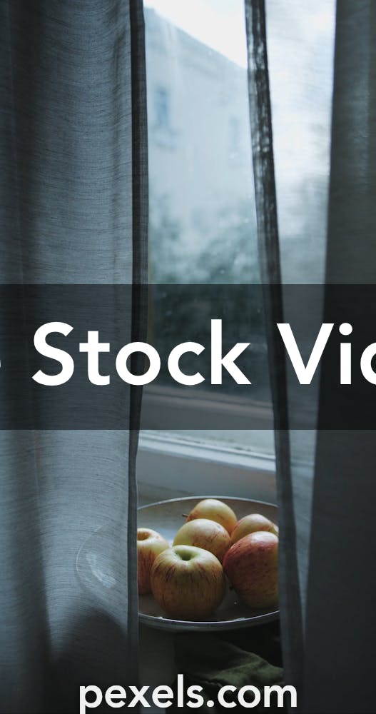 Vertical Videos, Download The BEST Free 4k Stock Video Footage & Vertical  HD Video Clips