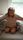 family home