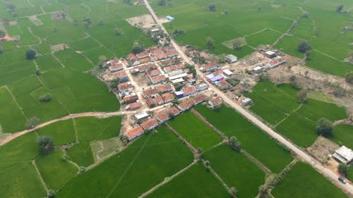 Drone Footage of Village Houses Surrounded by Farm Lands