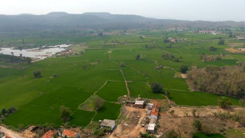 Drone Footage of Farmlands
