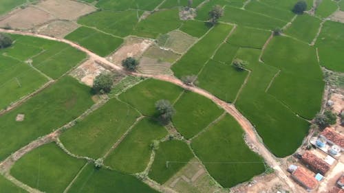 Drone Footage of Farmlands and Village Houses