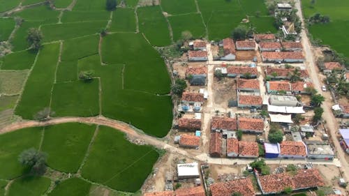 Drone Footage of a Village Surrounded by Farmlands