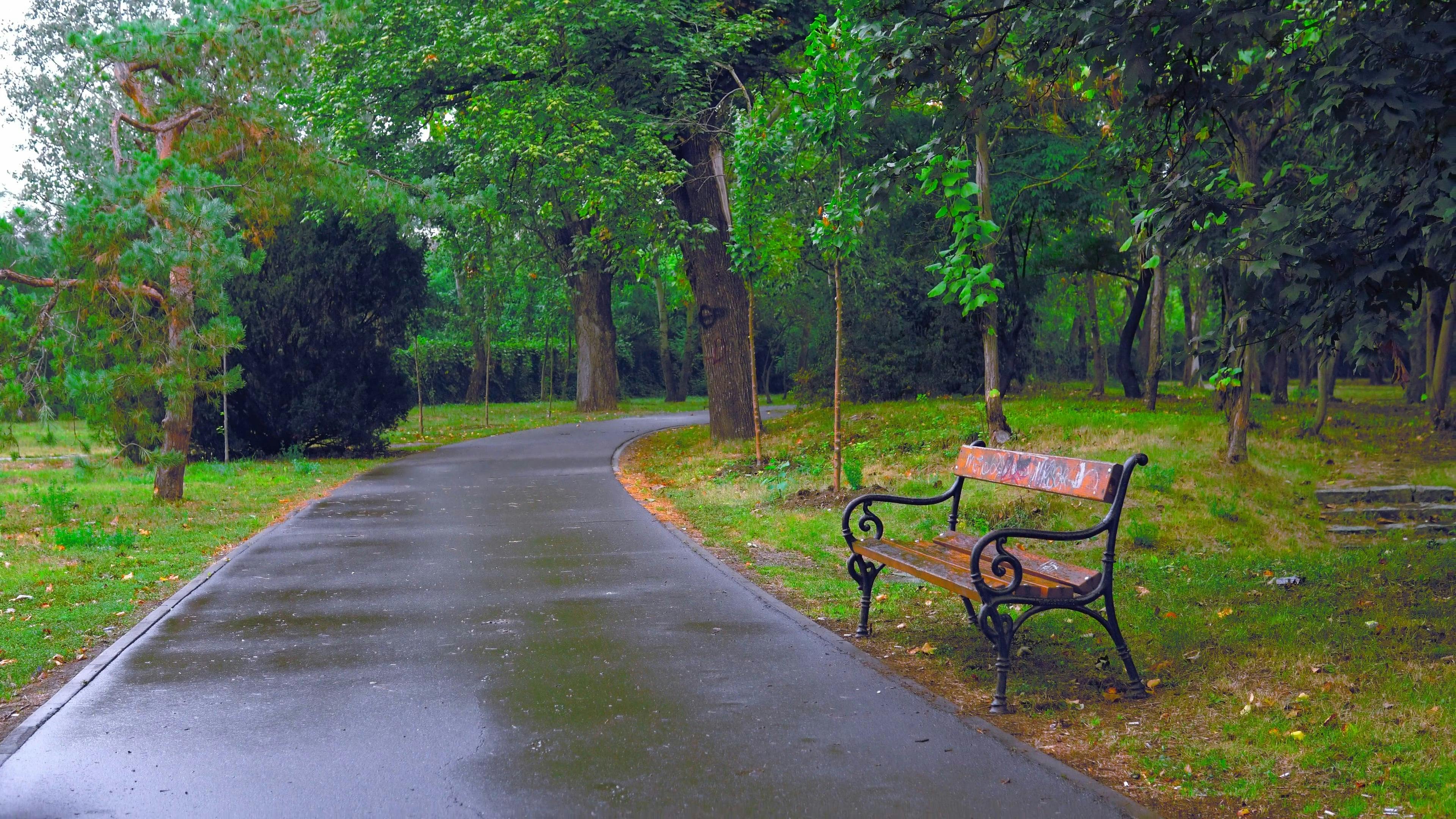 a-man-jogging-on-a-pathway-in-a-city-park-free-stock-video