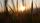 stock footage