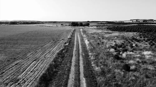 Drone Footage of Country Lane Between Agricultural Lands