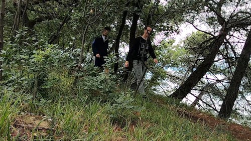 People Walking On a Trail