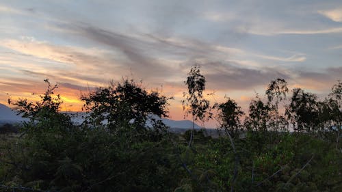 Silhouette of Trees Across Mountain Range During Sunset
