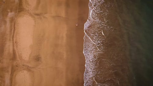 Person Walking on the Beach