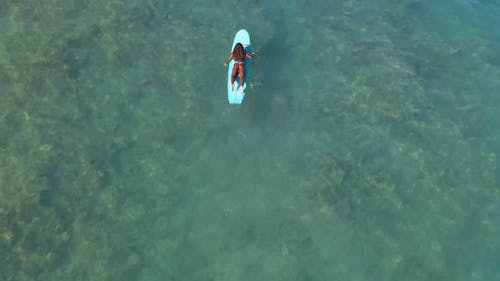 A Woman Surfing on Sea