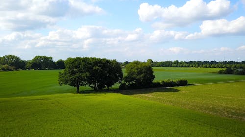 Drone Video of  Vast Farmlands