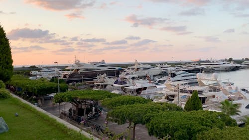 Panning Shot of Yachts Docked at a Marina