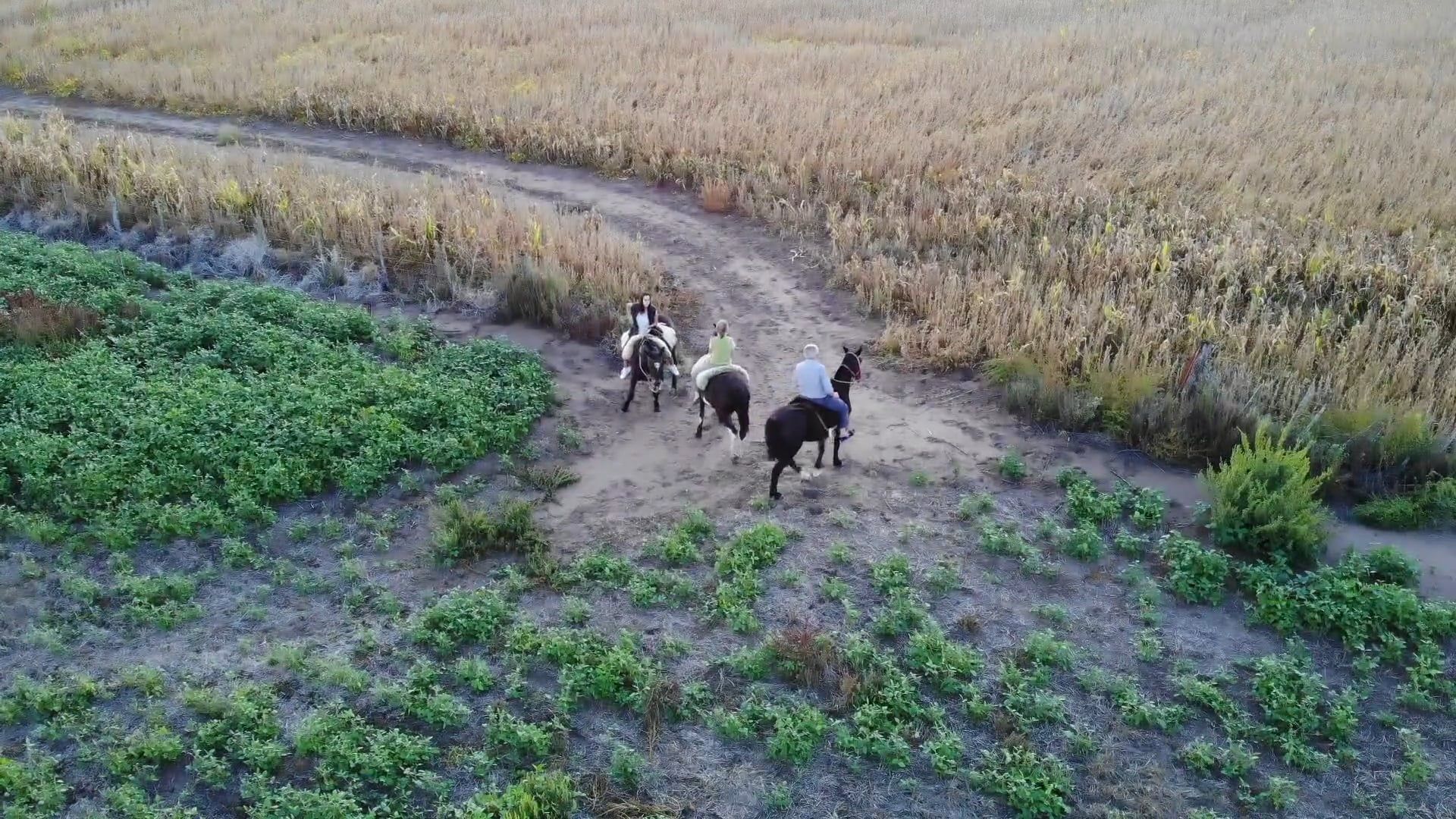 Drone Footage of People Riding a Horse in the Countryside Free Stock ...
