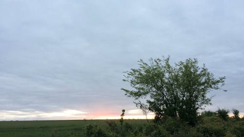 Sunrise at Farmland in Time Lapse