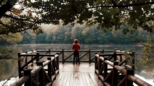 A Man Relaxing by the Placid Lake