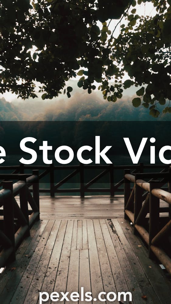 Portrait Videos, Download The BEST Free 4k Stock Video Footage