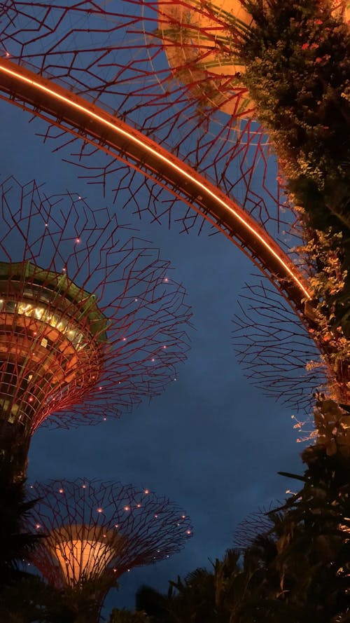 Lights Show at the Garden By the Bay