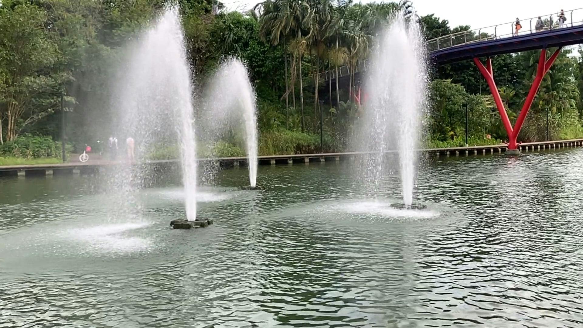 Beautiful Fountains in a Park · Free Stock Video