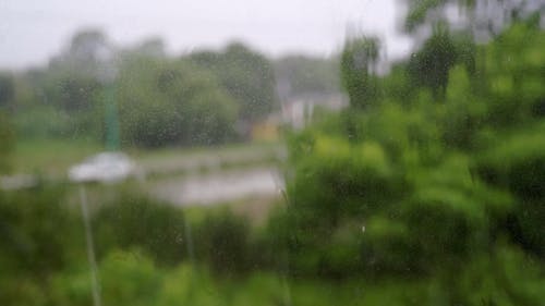 Rain Through a Window