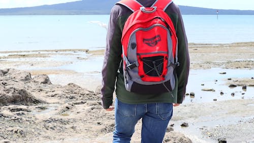 Man Walking On the Beach