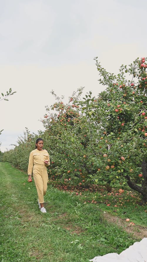 Women Eating Freshly Picked Apples