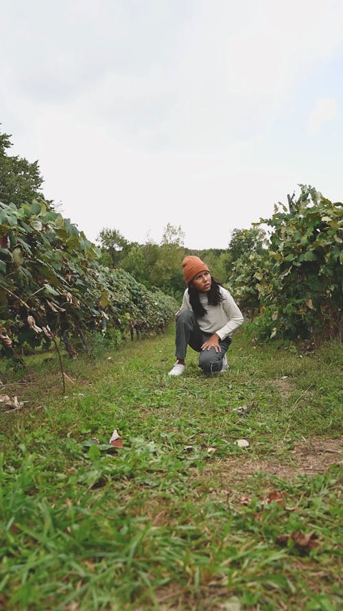 Girl Looking at Grapevines