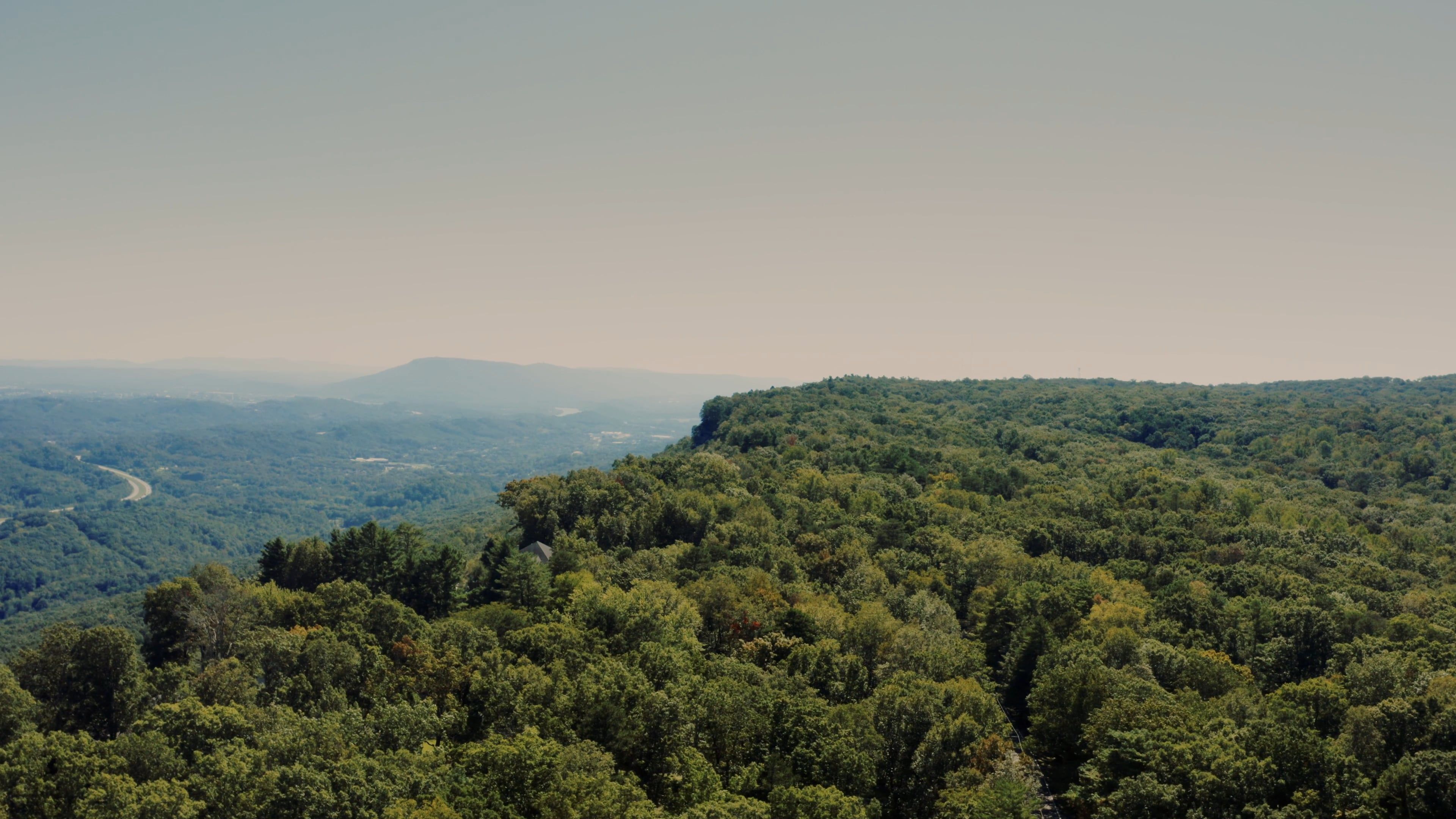 An Aerial Footage of a Forest · Free Stock Video