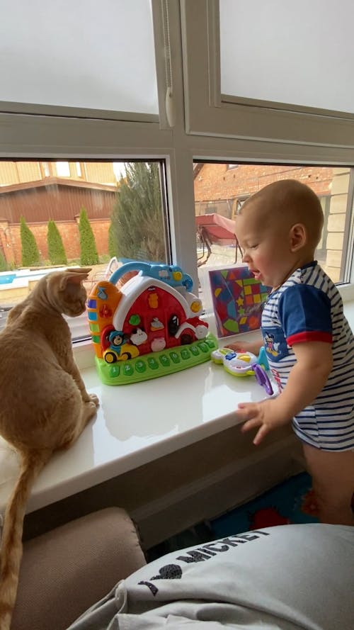 A Cute Baby Playing with His Toys and Cat
