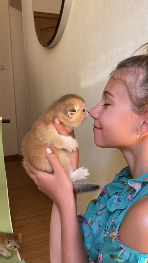 Kid Kissing and Holding the Kitten