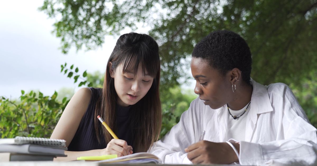 A Student Tutoring Her Fellow Student Free Stock Video Footage, Royalty ...