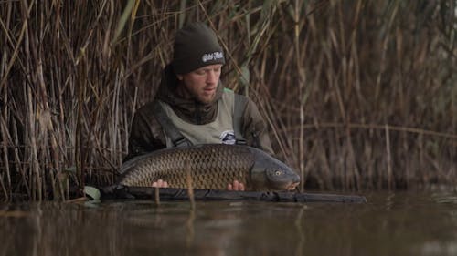 Carp Fishing Videos, Download The BEST Free 4k Stock Video Footage