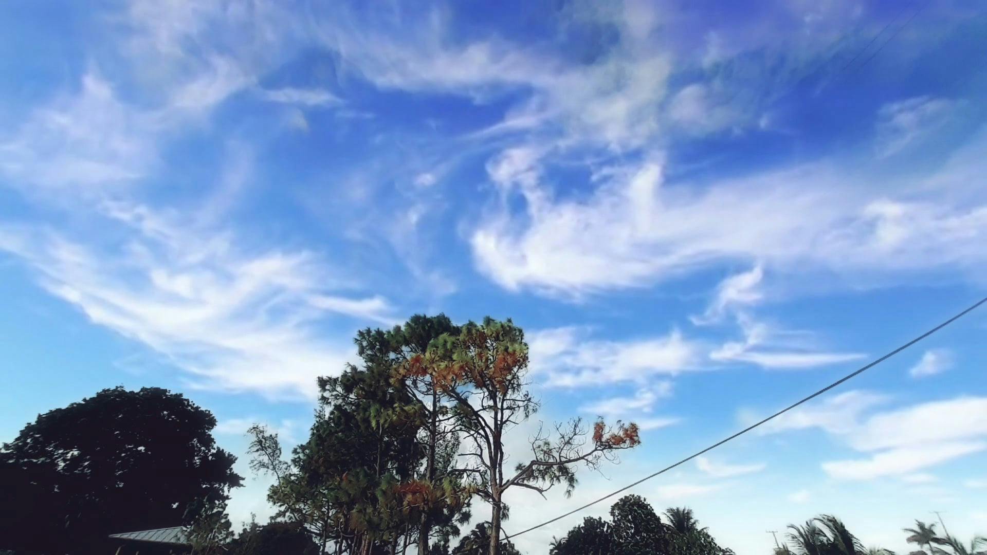 Video by Carmen Correa