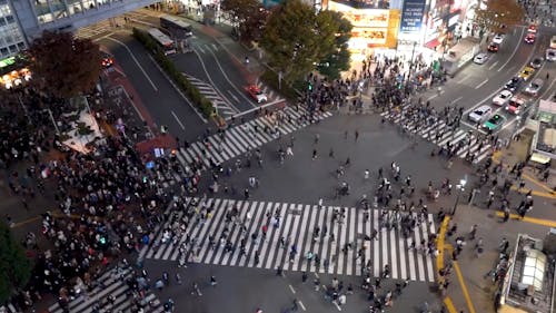 People Crossing on a Busy Pedestrian