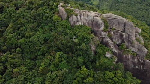 Drone Footage of Rock Formation and Trees