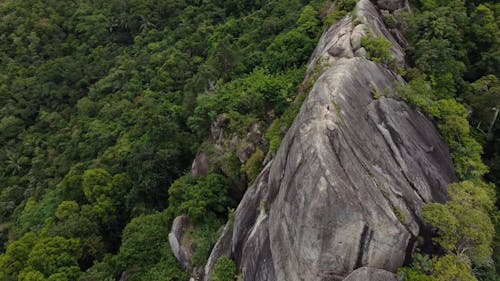 Drone Footage of a Forest Mountain by the Sea